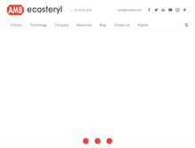 Tablet Screenshot of ecosteryl.com
